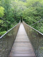 puente sobre el rio en el campo
