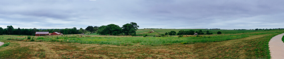 Obraz na płótnie Canvas Fields with rapeseed on the danish , Europe.