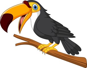 Cartoon toucan bird on tree branch