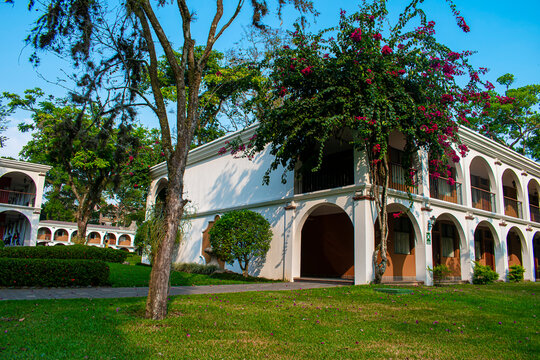 &aacute;rbol  frente a casa blanca con flores rosadas enzima 