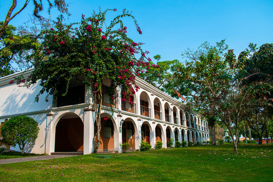 hermoso &aacute;rbol de flores enzima de una casa blanca 