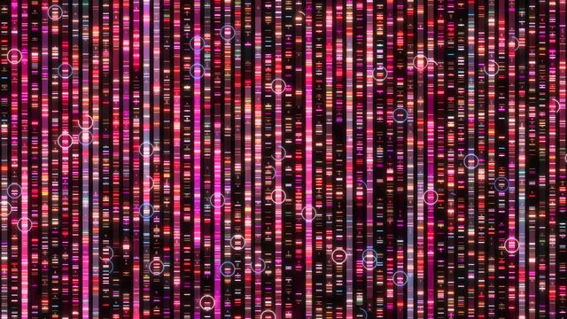 Genome sequencing to determine the nucleotide sequence of DNA