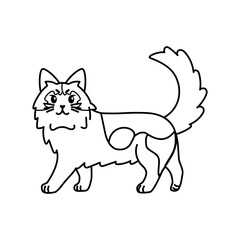 Isolated outline of a cat - Vector illustration