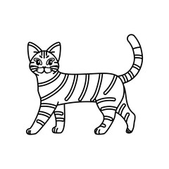 Obraz na płótnie Canvas Isolated outline of a cat - Vector illustration