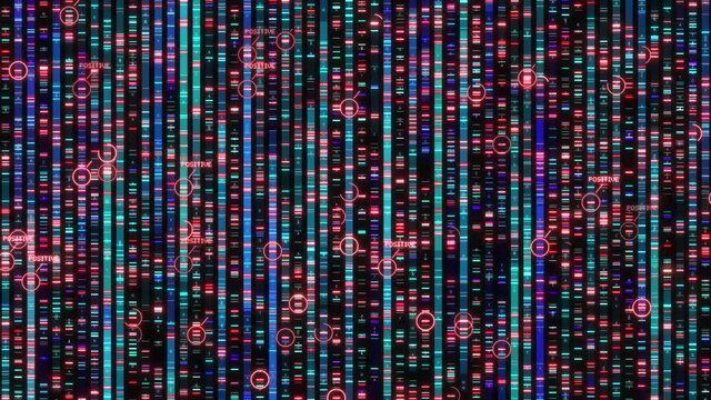 Positive result DNA fingerprint and genome sequencing analysis