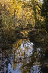 levees on river water and waterfall waterfall water nature river cascade landscape rock falls stream fall green natural forest stone flowing rocks mountain spring environment beautiful flow travel