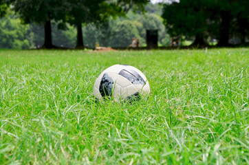 Football on the green grass in the park