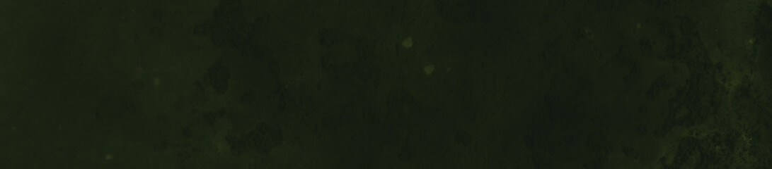 Fototapeta premium abstract black and dark green colors background for design