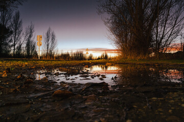 Reflection of the sunset in the pond with dried leaves near it