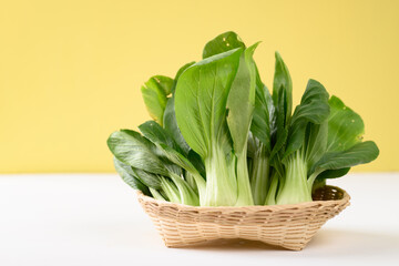 Fresh Bok Choy or Pak Choi (Chinese cabbage) in a basket on white and yellow background