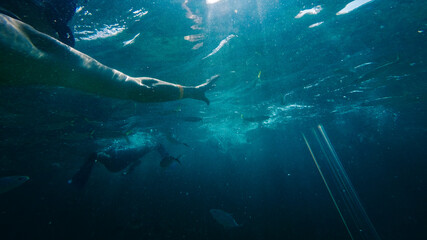 Underwater sun rays while snorkeling