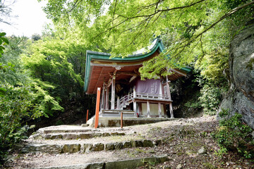 新緑の上醍醐　清瀧宮本殿　京都市伏見区