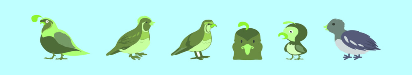 set of quail cartoon icon design template with various models. vector illustration isolated on blue background