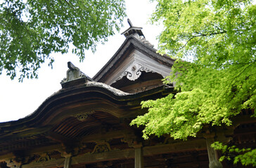 Fototapeta premium 新緑の上醍醐 開山堂 京都市伏見区