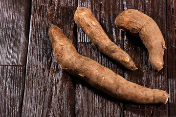 Manihot esculenta (cassava, yuca, manioc, mandioca, Brazilian arrowroot)