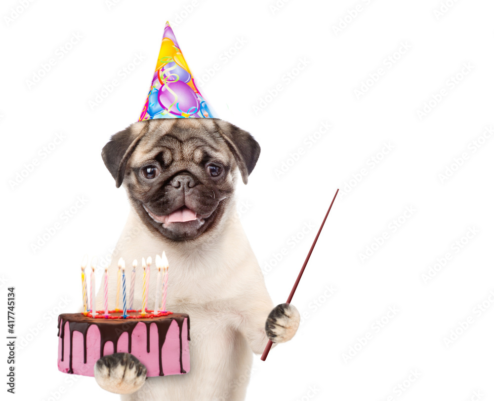 Poster Pug puppy wearing a party cap holds cake with many candles and points away on empty space. isolated on white background