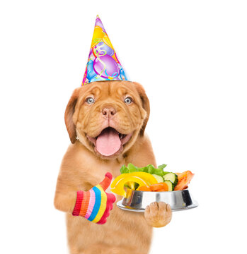 Happy puppy wearing party's hat holds bowl of vegetables and shows thumbs up gesture. isolated on white background