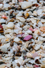 beach sand background texture shell