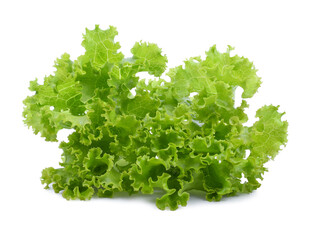 Salad leaf. Lettuce isolated on white background.