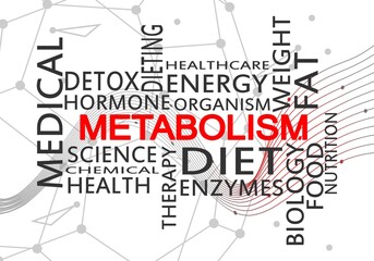 Tags cloud of metabolism. Words collage. Infographic illustration