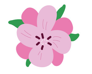 Fototapeta premium Pink flower vector illustration