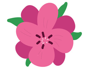 Pink flower vector illustration