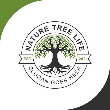 Oak Banyan Maple nature logo design, Family Tree of Life Stamp Seal Emblem 