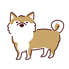 かわいい秋田犬のイラスト／Illustration of cute Akita dog