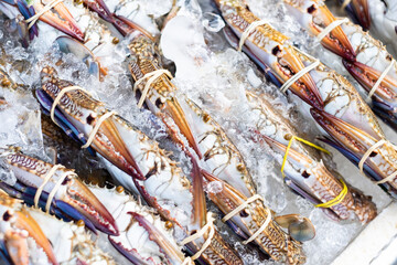 Fresh crab in the frozen market with ice. Seafood concept