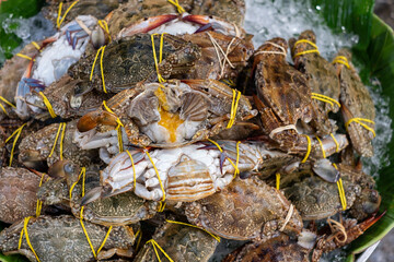 Fresh crab in the frozen market with ice. Seafood concept