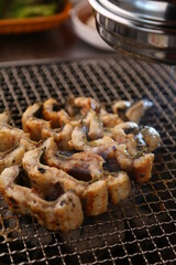 숯불에 굽고있는 장어구이 Grilled eel over charcoal fire