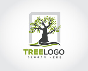 Obraz premium square frame tree logo symbol design illustration inspiration