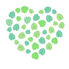 heart shaped monstera leaves. monstera leaves on a white background. stock vector illustration isolated on white background.