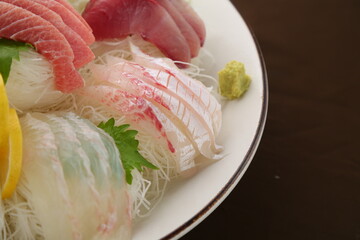 스시 사시미 초밥 생선 sushi sashimi