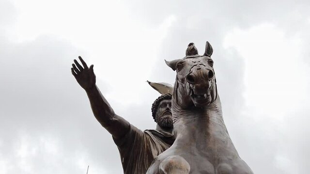 Seagull on Statue of Emperor Marcus Aurelius, Capitol Square, Rome, Italy