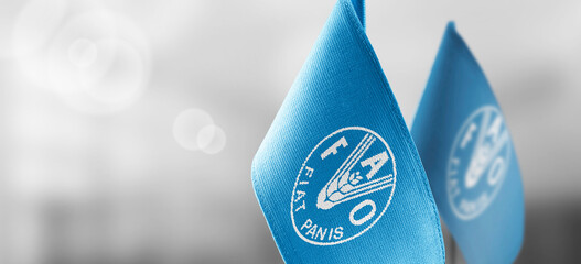 Patch of the national flag of the Food and agriculture organization on a white t-shirt