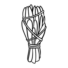 Sage smudge stick with threads hand-drawn doodle isolated icon. Vector stock plant leaves image. White sage herb bundle