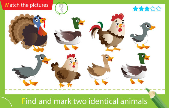 Find and mark two identical animals. Puzzle for kids. Matching game, education game for children. Color images of farm animals. Poultry. Turkey, goose, duck, Drake, hen, rooster