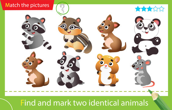 Find and mark two identical animals. Puzzle for kids. Matching game, education game for children. Color images of little animals. Panda, raccoon, badger, chipmunk, hamster, kangaroo, mouse