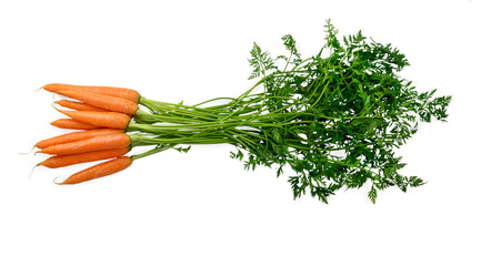 Vegetables, Carrots Isolated on White Background