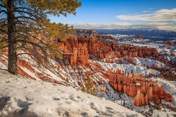 Winter Morning on Bryce Canyon National Park