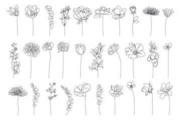 Kontinuierliche Strichzeichnung Set von Pflanzen Schwarze Skizze von Blumen, Isolated on White Background. Blumen eine Zeile Illustration. Minimalistische Drucke eingestellt. Vektor-EPS 10.