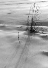 abstract snow texture, snow and frozen grass, shadows on the snow