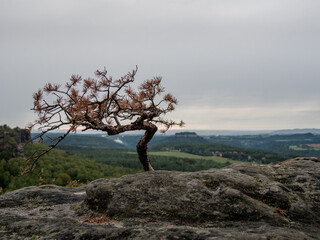 Saxony Switzerland View