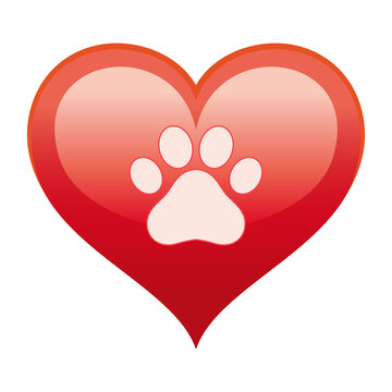 Illustration of a dog's paw in a red heart a white background