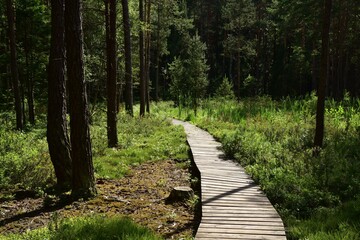 Marshland Nature Reserve Borkovice is a protected area near Tabor in Borkovice, South Bohemian Region, Czech Republic.