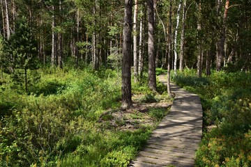 Marshland Nature Reserve Borkovice is a protected area near Tabor in Borkovice, South Bohemian Region, Czech Republic.