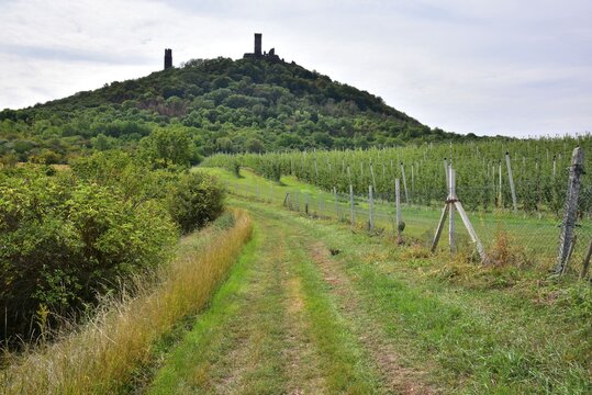 Hazmburk or Hasenburg is a medieval castle ruin in Central Bohemian Uplands near Libochovice, Czech Republic.