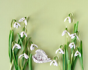 snowdrops flowers and sleeping angel on green background. spring season. romantic gentle nature image. hello spring, Mother's day concept. flat lay