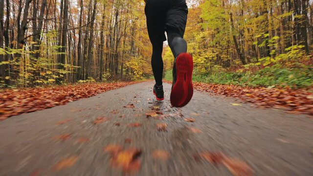 Shooting the legs of a running athlete. Running training in autumn forest. Shooting from behind. 4K.